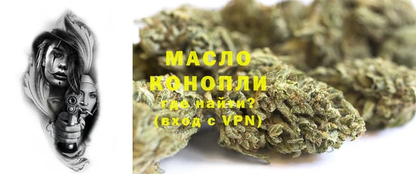spice Богородицк