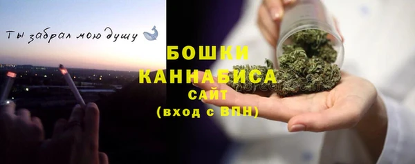 сатива Краснослободск