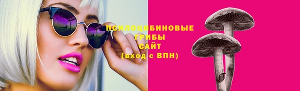 винт Богданович