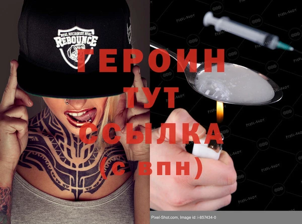 spice Богородицк